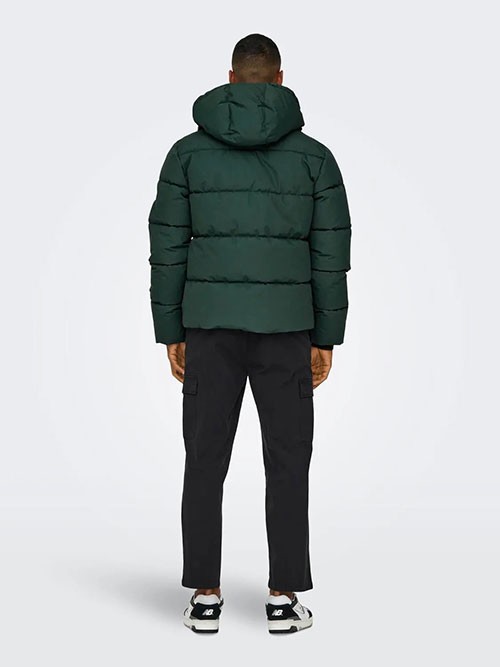 Cazadora Only and Sons OnsElijah Pckt Hood Darkest Spruce