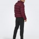 Cazadora Acolchada Only and Sons OnsUnion Seamlees Life Puffer Cabernet Cazadora Acolchada Only and Sons OnsUnion Seamlees Life Puffer Cabernet
