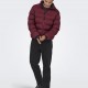 Cazadora Acolchada Only and Sons OnsUnion Seamlees Life Puffer Cabernet Cazadora Acolchada Only and Sons OnsUnion Seamlees Life Puffer Cabernet