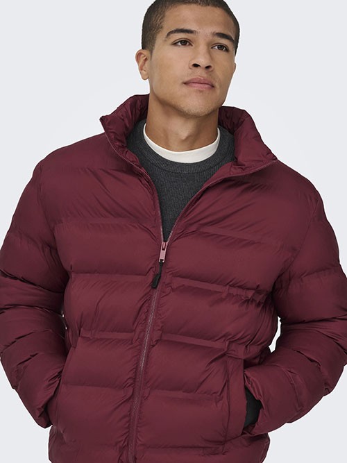 Cazadora Acolchada Only and Sons OnsUnion Seamlees Life Puffer Cabernet Cazadora Acolchada Only and Sons OnsUnion Seamlees Life Puffer Cabernet