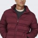 Cazadora Acolchada Only and Sons OnsUnion Seamlees Life Puffer Cabernet Cazadora Acolchada Only and Sons OnsUnion Seamlees Life Puffer Cabernet